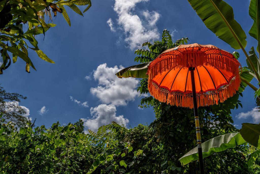 Taman Nauli Boutique Rooms Canggu Exterior foto